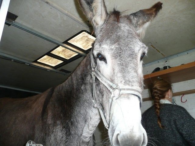 Balthazar et leonard Arrivee (13).jpg